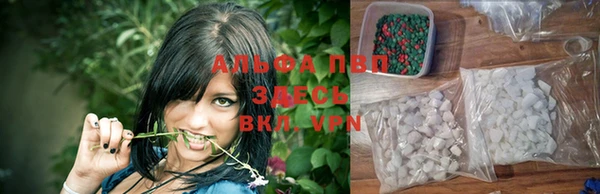 амф Липки