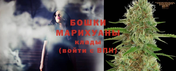 PSILOCYBIN Лиски