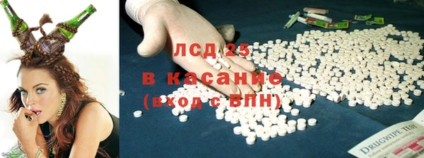 PSILOCYBIN Лиски