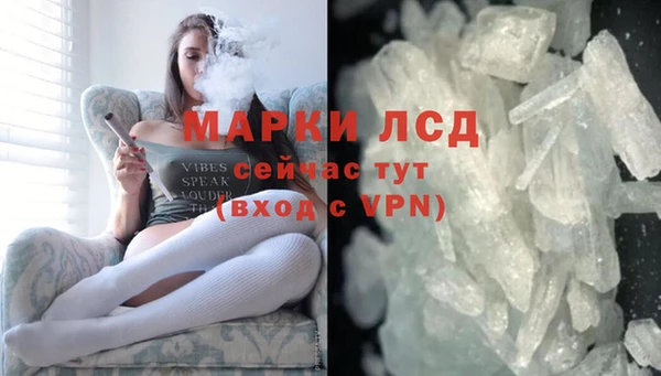 PSILOCYBIN Лиски