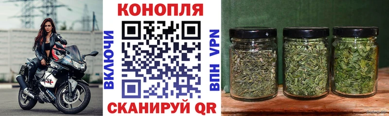 Бошки марихуана OG Kush  Купить закладки  Ряжск 
